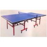 NINJA Single Folding Table Tennis Table.