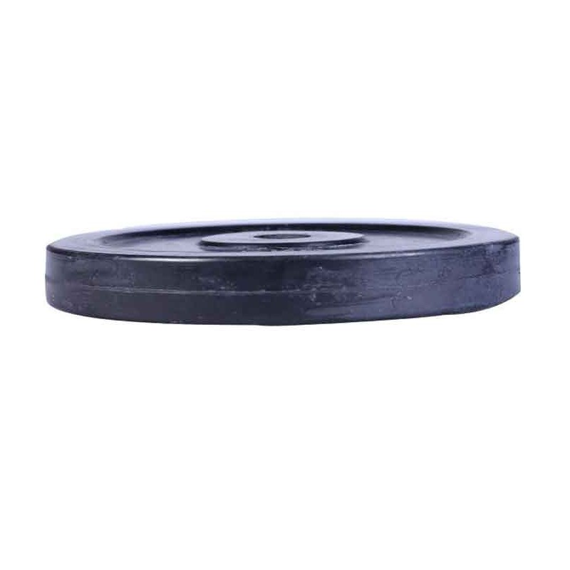 dumbbell-plate