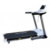 Evertop Motorized Treadmill