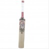 CA Plus 15000 Players Edition 7 Star English Willow Cricket Bat