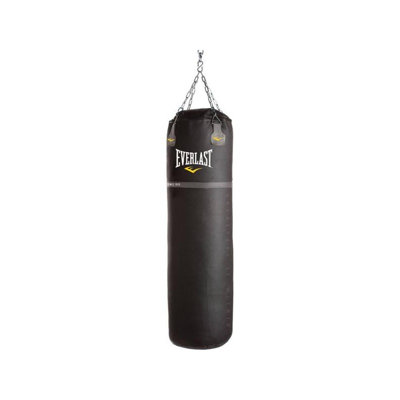 everlast boxing bag