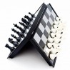 Chess and Checkers Folding Magnetic Board - Black and White
