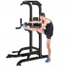 Chin Up and dip Station Power Tower Home use Exercise