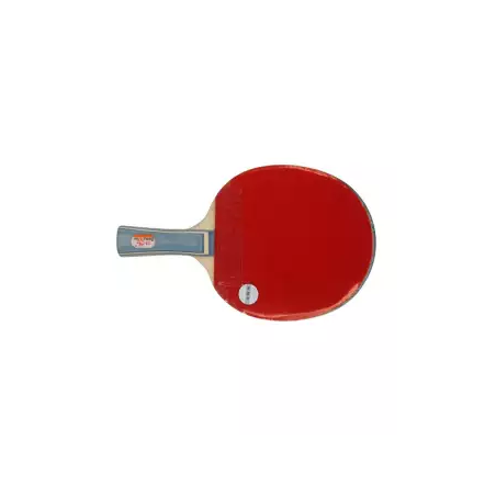 Table Tennis Bat - 1DC