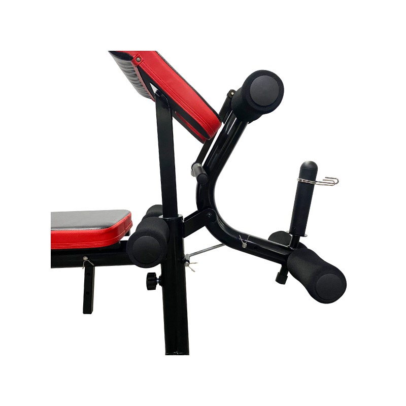 Weight bench with Lat pull down and Preacher curl