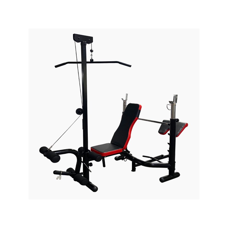 Weight bench with Lat pull down and Preacher curl