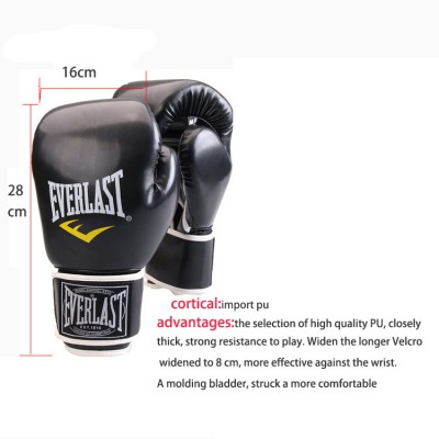 Everlast Leather Boxing Gloves 10oz, 12oz
