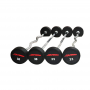 Rubber Coated Ez Fixed Barbell 10kg,15kg,20kg,25kg,30kg