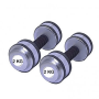 Rubber Gripped Silver Dumbbell 2kg pair Total 4 kg