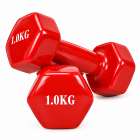 vinyl dumbbell 1 kg pair (1kg x 2)