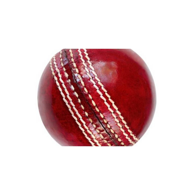 cricketballwooden